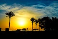 Beautiful silhouettes of palm trees and beach umbrellas at sunrise by the sea Royalty Free Stock Photo