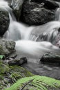 Beautiful silky soft river flowing in autumn scenery forest with green fern in selective color Royalty Free Stock Photo