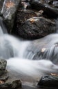 Beautiful silky soft river flowing in autumn scenery forest in selective color Royalty Free Stock Photo