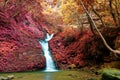 A beautiful silky waterfall tumbling down the mossy rocks into a pond in a secret ravine