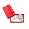 Beautiful silver brooch in a red gift box
