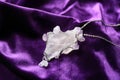Beautiful silver pendent with pure quartz and amethyst gemstones