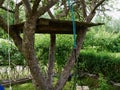 Beautiful simple creative tree house Royalty Free Stock Photo