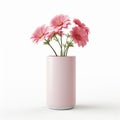 Beautiful Simple Cylinder Vase Flowers Isolated On White