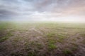 Beautiful simple ground scenery sunset with grass and mist