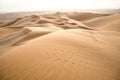 Beautiful desert landscape in early morning.