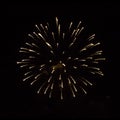 Beautiful single firework isolated closeup on black background