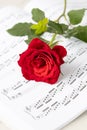 Beautiful single red rose flower lying on open music book Royalty Free Stock Photo