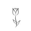 Beautiful single tulip in bloom illustration, simple silhouette element design, hand drawn line art in black