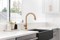A gold kitchen faucet detail with a black apron on sink. Royalty Free Stock Photo