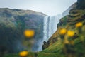 Skogafoss waterfall in Iceland with flowers