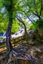 Beautiful Skradinski Buk Waterfall In Krka National Park, Dalmatia, Croatia, Europe. The magical waterfalls of Krka National Park Royalty Free Stock Photo