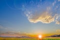 Beautiful sky with clear sky, clouds and corn field Royalty Free Stock Photo