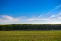 Beautiful sky, field and forest in far in autumn season, bright sunlight and cirrus clouds Royalty Free Stock Photo