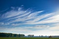 Beautiful sky, field and forest in far in autumn season, bright sunlight and cirrus clouds Royalty Free Stock Photo