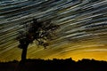 Beautiful sky at night with startrails Royalty Free Stock Photo