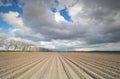 Beautiful sky and plowed potato field