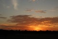 Beautiful sky sunset and alone tree in village Royalty Free Stock Photo