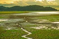 Beautiful sky during sunset, Cracked ground with small green grass and little water flow leading to river