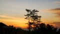 Beautiful sky and sunset lanscape with tree