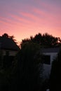 Beautiful sky at sunset over the autumn garden. Berlin, Germany Royalty Free Stock Photo