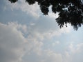 A beautiful sky with tree leafs