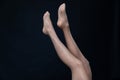 Beautiful slender female legs in pantyhose stockings on black background Royalty Free Stock Photo