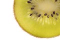 Beautiful slice of fresh juicy kiwi Royalty Free Stock Photo