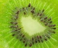 Beautiful slice of fresh juicy kiwi Royalty Free Stock Photo