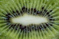 Beautiful slice of fresh and juicy kiwi Royalty Free Stock Photo