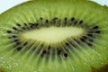 Kiwi sliced into slices isolated on white background. Royalty Free Stock Photo