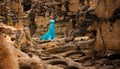 Beautiful slim blonde woman in turquoise blue long dress walks among strange rocks in the middle of a stone canyon, which looks fr