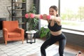 Beautiful slim fitness woman crouches with dumbbells. Sport, healthy lifestyle. Girl goes in for sports at home Royalty Free Stock Photo