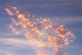 Beautiful small clouds during the sun fall. The golden hour paints the clouds of warm colors Royalty Free Stock Photo