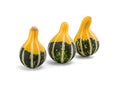 Beautiful small decorative pumpkins isolated on white with clipping path Royalty Free Stock Photo