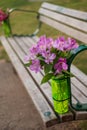 Beautiful small flower bouquet on the bench. Wooden Bench in a garden. Park bench in a summer park Royalty Free Stock Photo