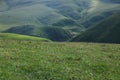 flowers and green grass on summer mountains under blue sky landscape Royalty Free Stock Photo