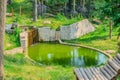 Beautiful small garden pond with a frog-shaped fountain and stone banks. Evergreen spring landscape garden. Selective Royalty Free Stock Photo