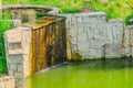 Beautiful small garden pond with a frog-shaped fountain and stone banks. Evergreen spring landscape garden. Selective Royalty Free Stock Photo