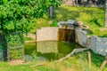 Beautiful small garden pond with a frog-shaped fountain and stone banks. Evergreen spring landscape garden. Selective Royalty Free Stock Photo