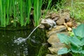 Beautiful small garden pond with a frog-shaped fountain and stone shores in spring Royalty Free Stock Photo