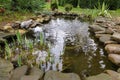 Beautiful small garden pond with a frog-shaped fountain and stone shores in spring Royalty Free Stock Photo