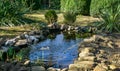 Beautiful small garden pond with a frog-shaped fountain and stone shores in spring Royalty Free Stock Photo