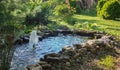 Beautiful Small Garden Pond With A Stone Beach And A Fountain Against The Background Of An Evergreen Garden. In The Pond With A St