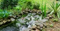 Beautiful Small Garden Pond With Stone Shores And Many Decorative Evergreens Spring After Rain