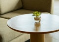 Beautiful small glass pot and pant on wooden round-shape desk with blurred background of comfort sofa, minimal style