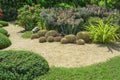 Beautiful small gravel garden, decorated with light brown pebble in the middle, brown stone, cactus, green leafs ground cover Royalty Free Stock Photo