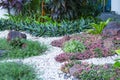 Beautiful small gravel garden, decorated with white shell, brown stone, colorful ground cover plant and green shrubs