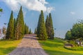 Beautiful small hill landscape with tall pine trees on green grass field and blue sky white cloud background. Juniperus chinensis Royalty Free Stock Photo