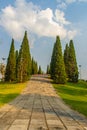 Beautiful small hill landscape with tall pine trees on green grass field and blue sky white cloud background. Juniperus chinensis Royalty Free Stock Photo